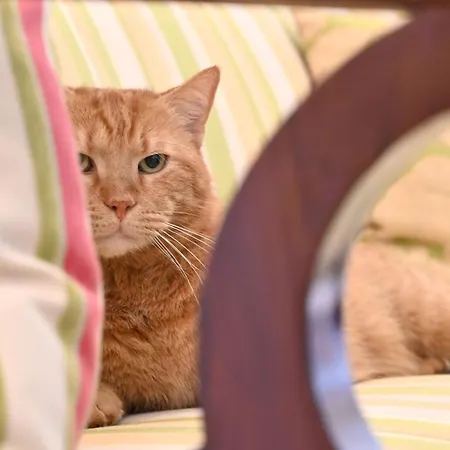 Gloriette - Boutiqueappartements Am Woerthersee Aparthotel 4*