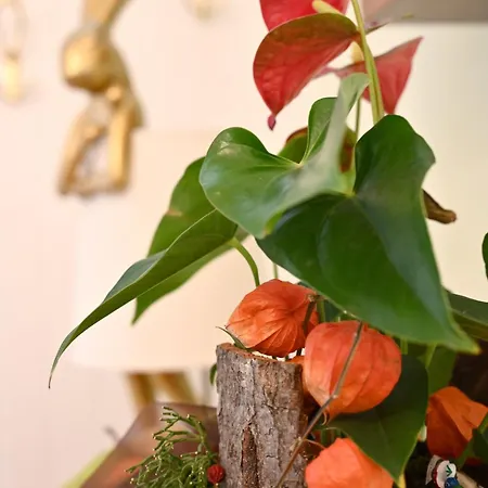 Gloriette - Boutiqueappartements Am Woerthersee Aparthotel 4*