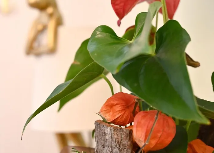 Gloriette - Boutiqueappartements Am Woerthersee 公寓式酒店 4*